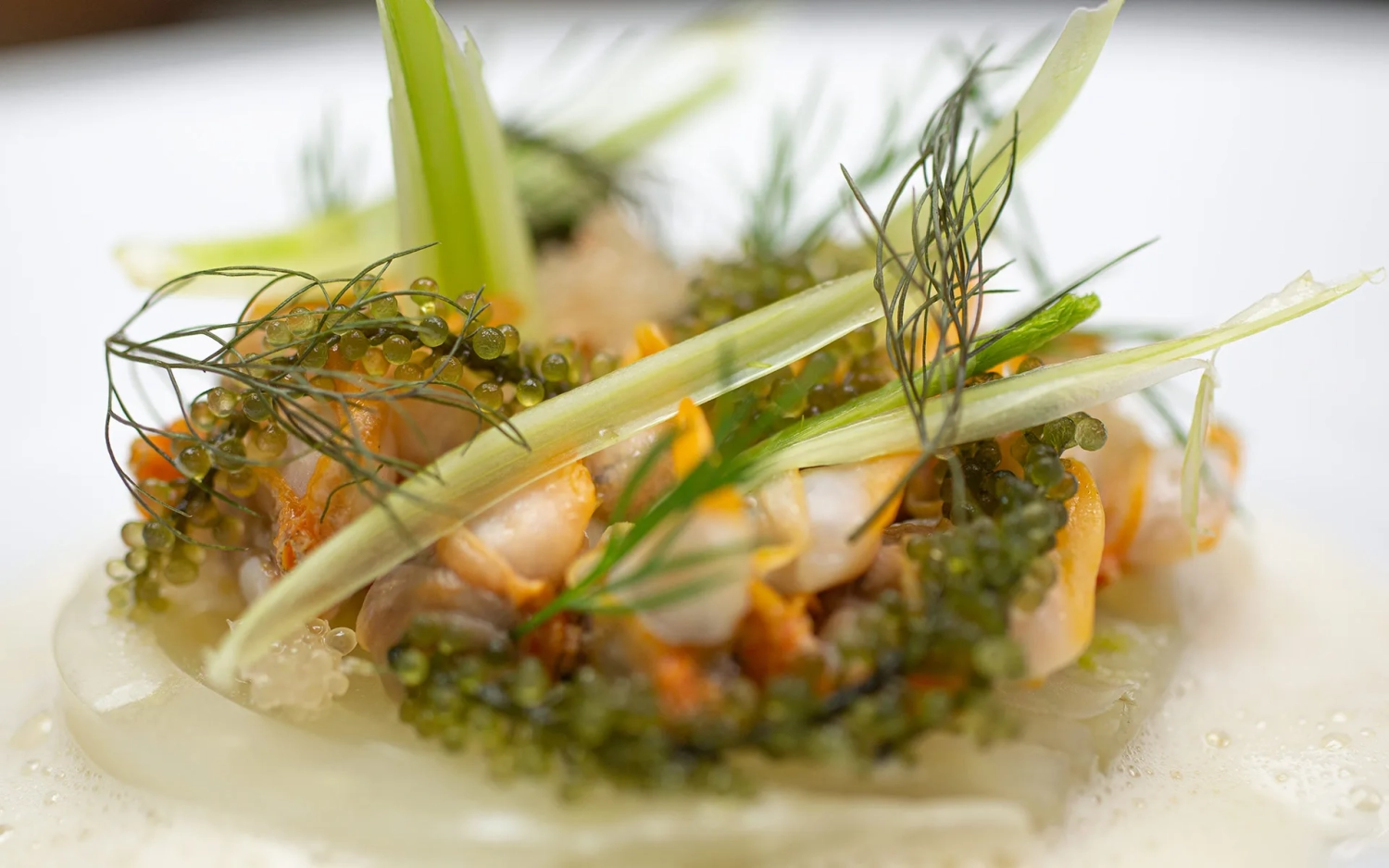 Food fotografie