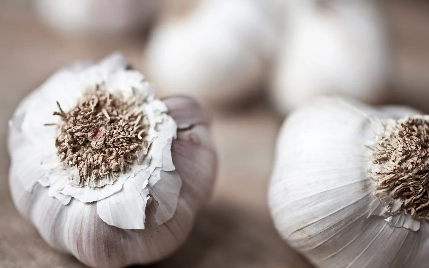 Food fotografie