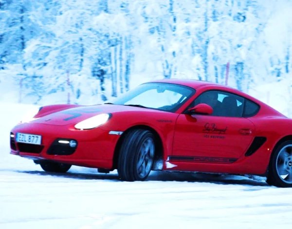 Stig Blomqvist Ice Driving