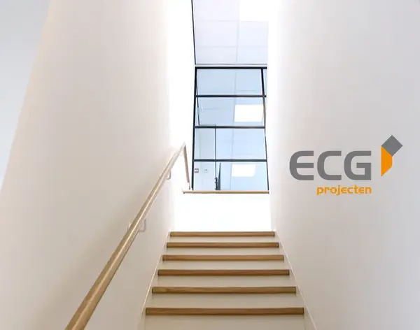 ECG Projecten